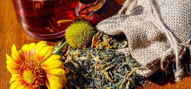 Gesund werden – Gesund bleiben