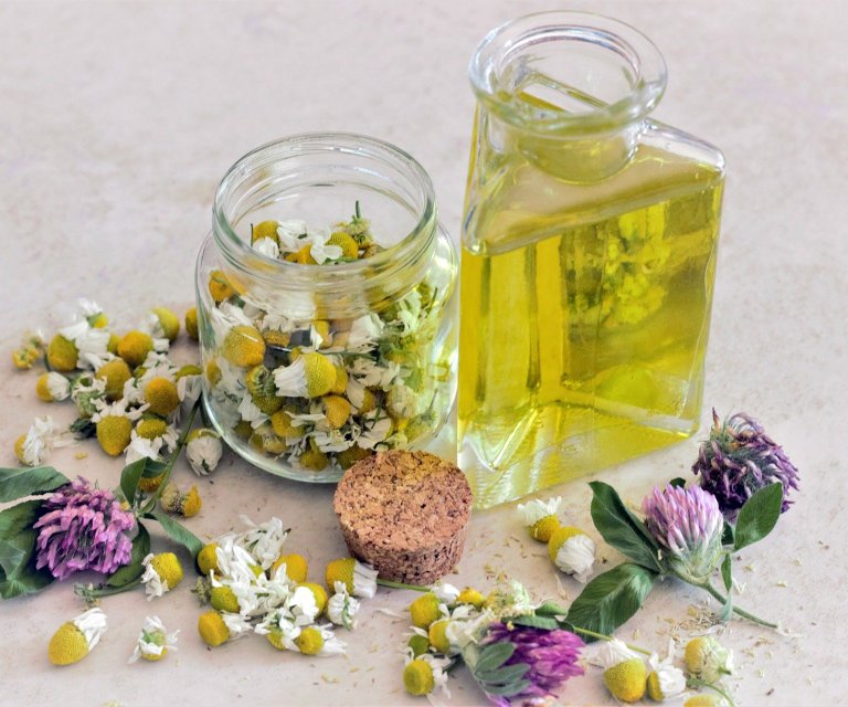 Seite Naturheilkunde Bild 2 chamomile-3442807_1920 (1)